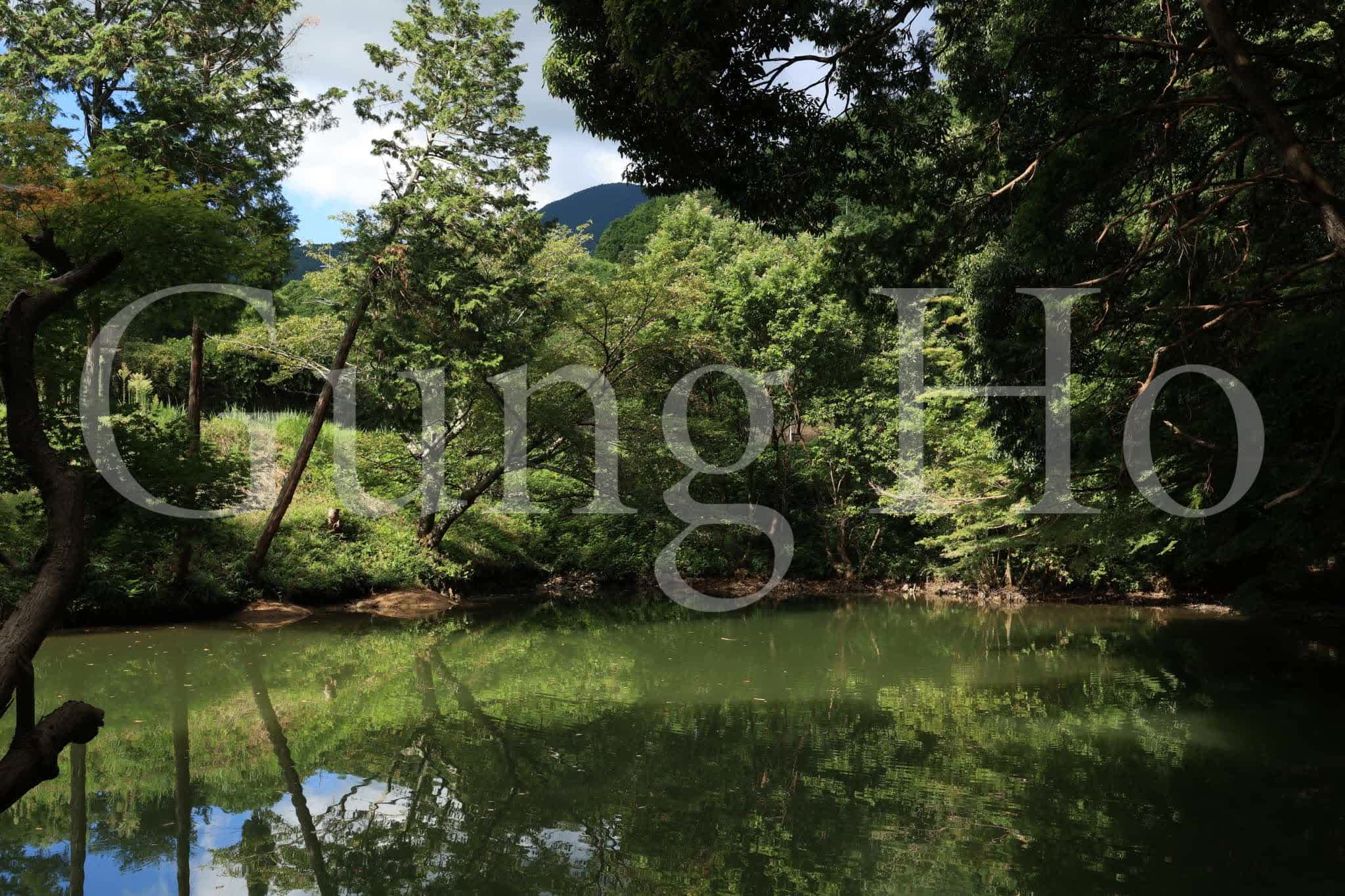 ⛩️ 타카카모 신사 이미지 6